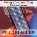 Kamagra Oral Jelly 100Mg Usa viagra3